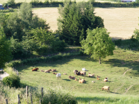 La campagne de Roussy