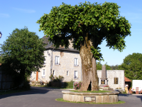 Devant l‘église de Teissières les Boulies